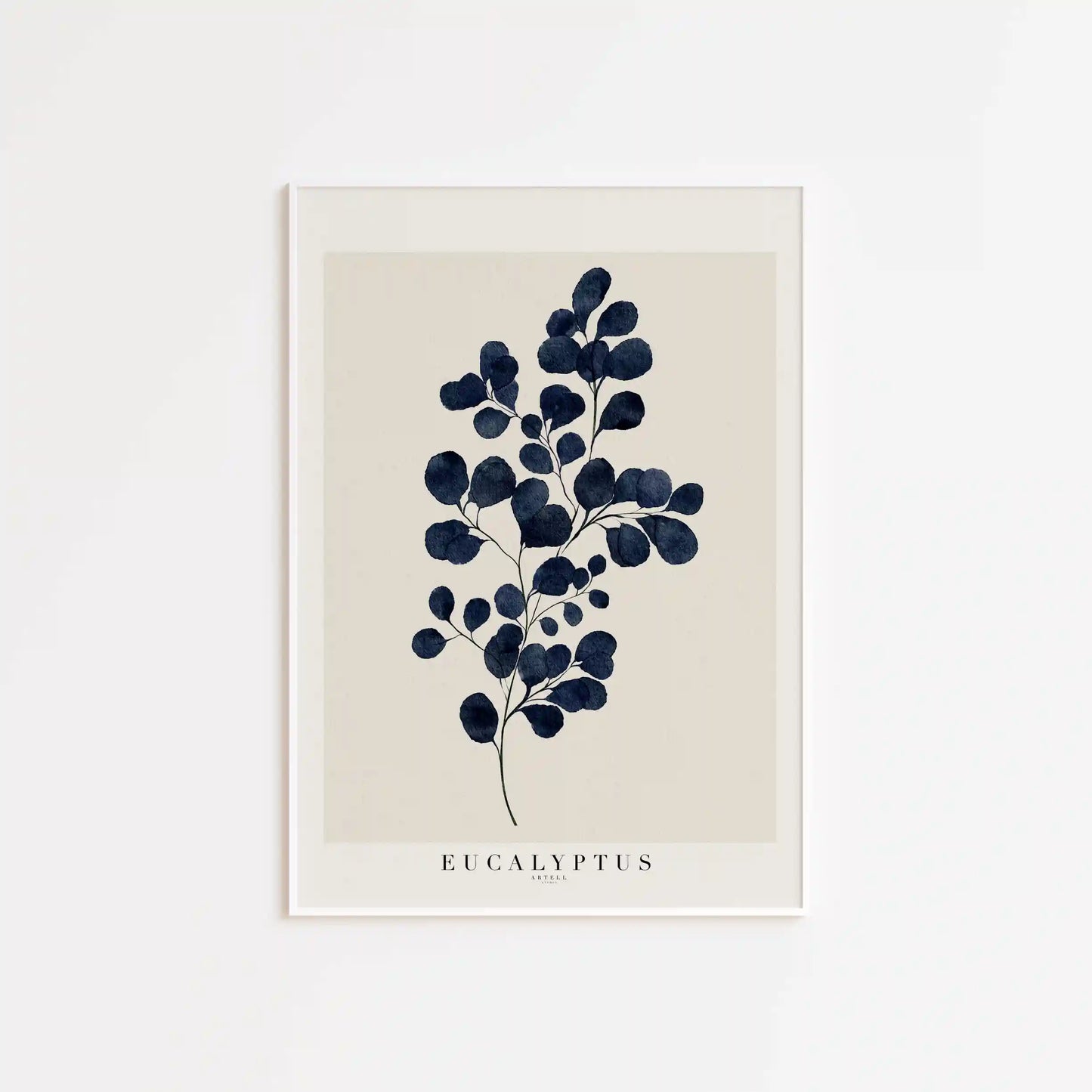 Eukalyptus plakat i hvid ramme