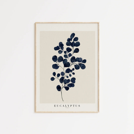 Eukalyptus plakat  i lys ramme