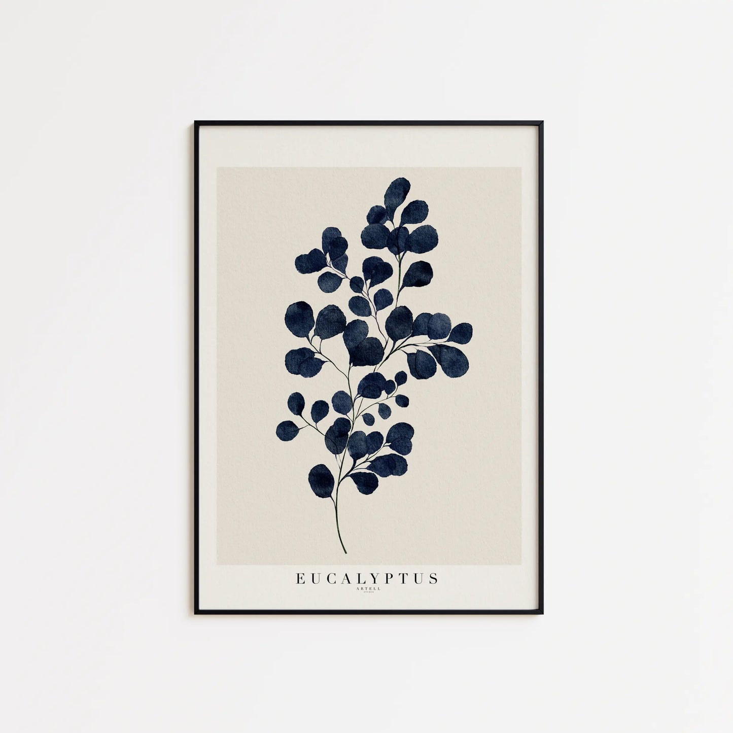 Eukalyptus plakat i sort ramme